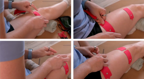 Knee Pain Plan — Early Access
